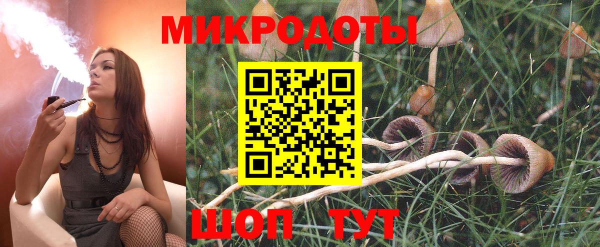 Тайшет  Галлюциногенные грибы GOLDEN TEACHER  как найти   Вход с VPN 